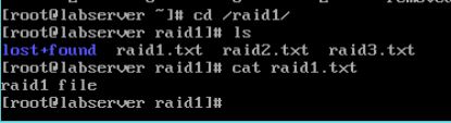 Raid1-test data